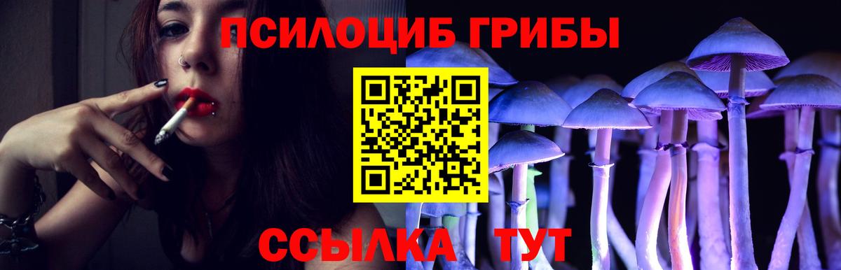Псилоцибиновые грибы Psilocybine cubensis Мелеуз